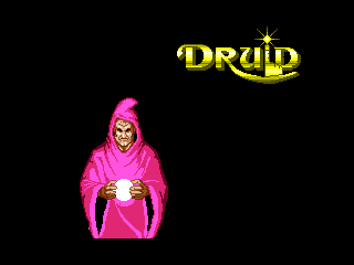 Game Druid (Machines with Software eXchangeability 2 - msx2)