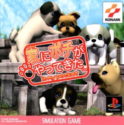 Game Uchi ni Pochi ga Yattekita - In my pocket (PlayStation - ps1)