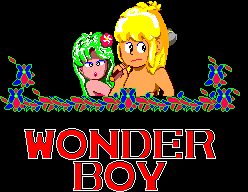 Обложка игры Super Wonderboy