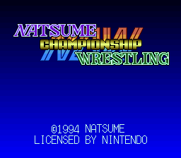Game Natsume Championship Wrestling (Super Nintendo - snes)