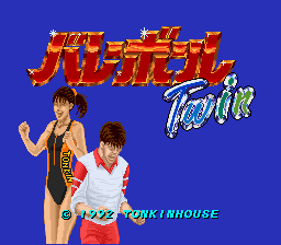 Game Volleyball Twin (Super Nintendo - snes)
