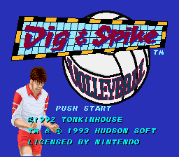 Game Dig & Spike Volleyball (Super Nintendo - snes)